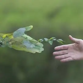 Organic Cleaning Service